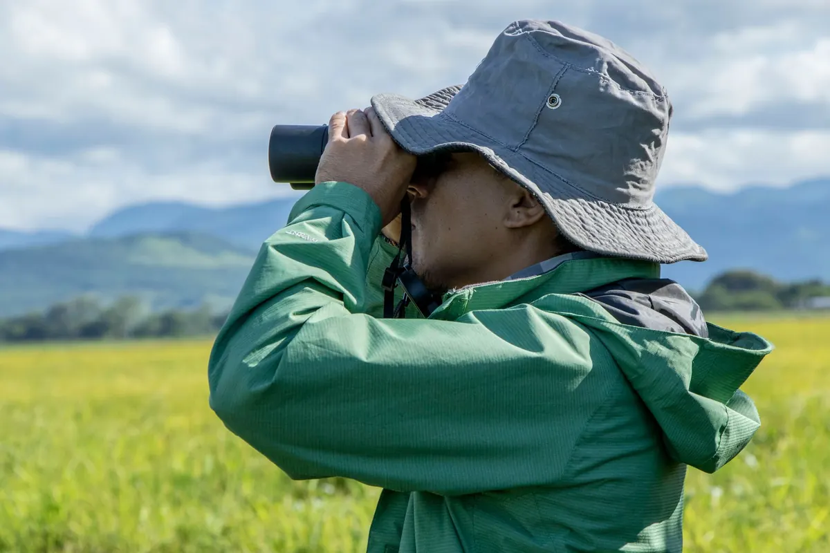 Beginner's Guide to Birdwatching on Wetland Trails
