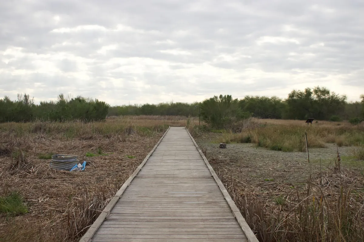 Boardwalk vs. Dyke Path vs. Marsh Trail: Choosing the Right Wetland Route